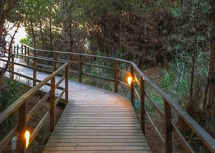 Amazing In Puntone Gr *